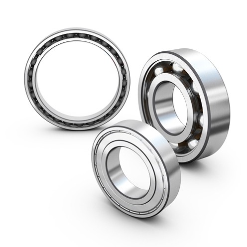 Экскиз подшипника SKF RLYE 205-100