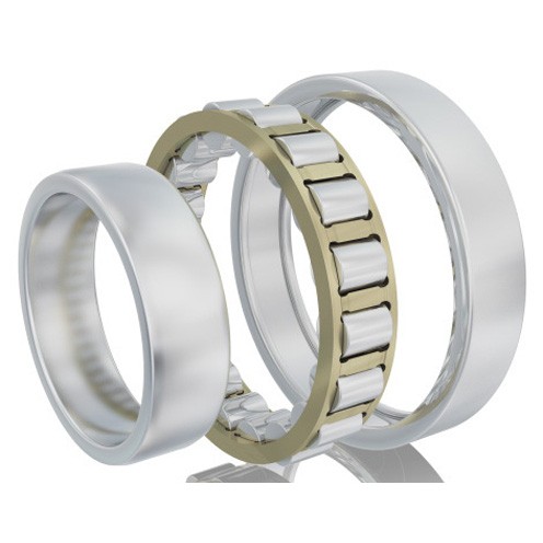 Экскиз подшипника FAG (Schaeffler) N3060M1.R180.260